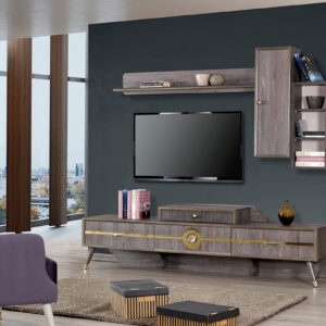 Zen Consola TV