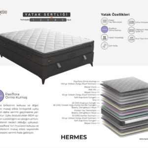 Hermes Saltea