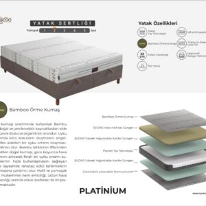 Platinium Saltea